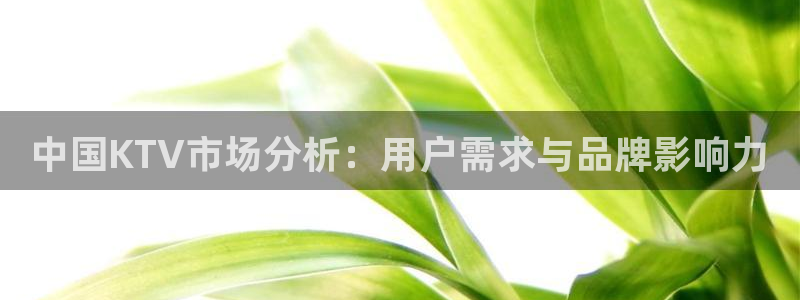 壹号app官网版下载