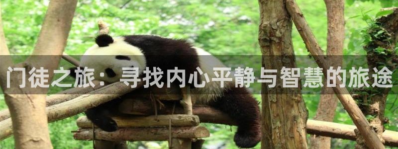 壹号娱乐,com