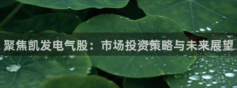 壹号娱乐平台app下载