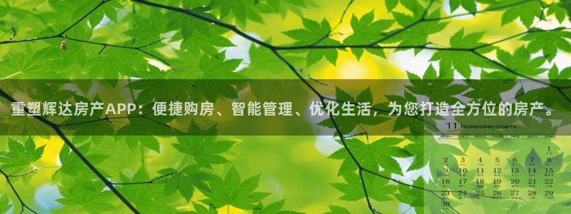 壹号电子娱乐app下载安装最新版本