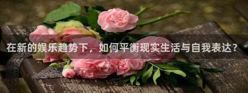 壹号娱乐app下载地址