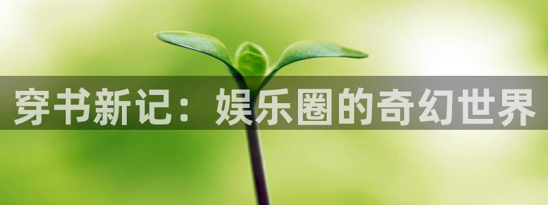壹号娱乐退款怎么退