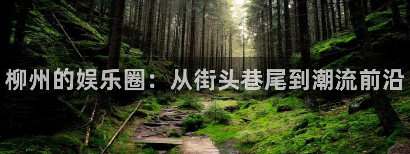 壹号娱乐.com