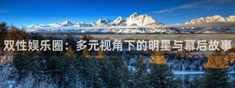 壹号大舞台怎么下载：双性娱乐圈：多元视角下的明星与幕后故事