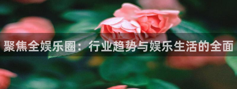壹号玩家app下载：聚焦全娱乐圈：行业趋势与娱乐生活的全面