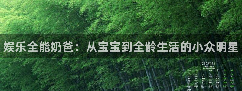 壹号娱乐网站：娱乐全能奶爸：从宝宝到全龄生活的小众明星