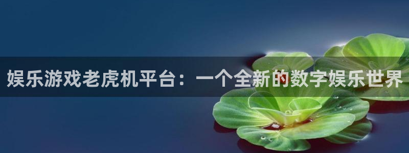 壹号娱乐：娱乐游戏老虎机平台：一个全新的数字娱乐世界
