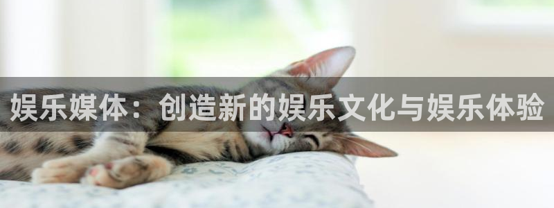 壹号app官网：娱乐媒体：创造新的娱乐文化与娱乐体验