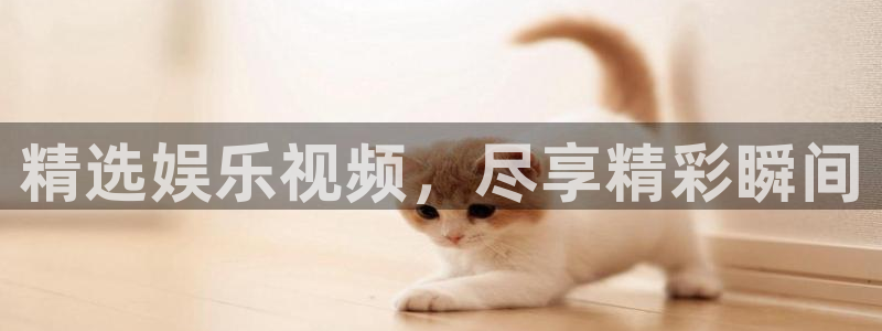 壹号娱乐,apk.1：精选娱乐视频，尽享精彩瞬间