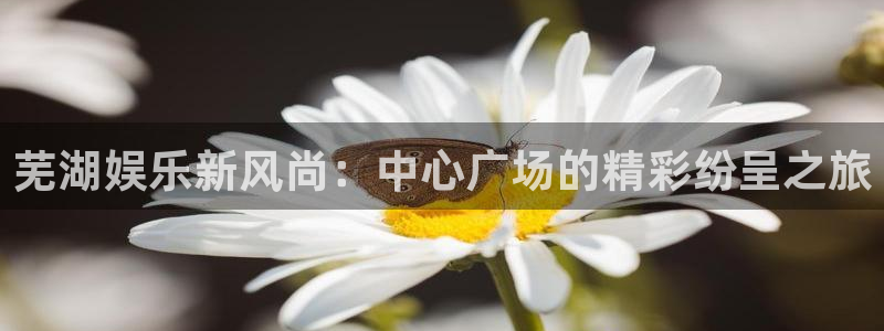 壹号娱乐吧：芜湖娱乐新风尚：中心广场的精彩纷呈之旅