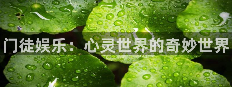 壹号娱乐强制退款流程详解：门徒娱乐：心灵世界的奇妙世界