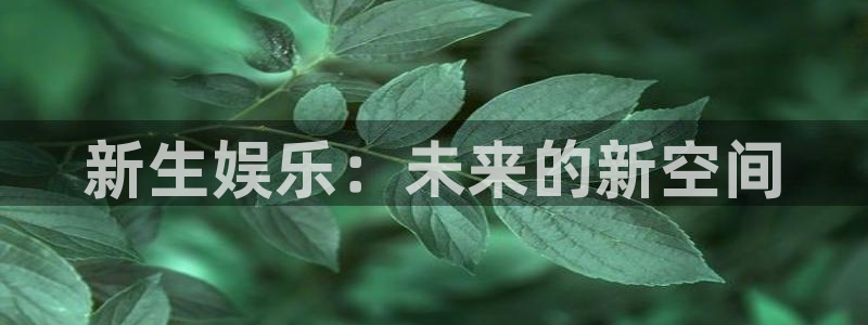 壹号电子娱乐app下载官网：新生娱乐：未来的新空间