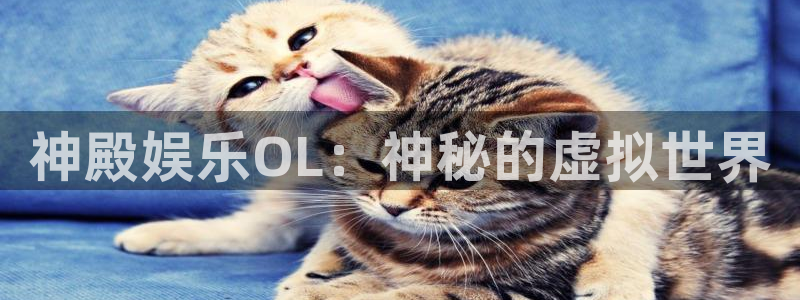 壹号娱乐网站：神殿娱乐OL：神秘的虚拟世界