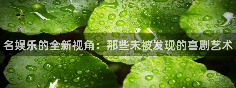 下载壹号娱乐app：名娱乐的全新视角：那些未被发现的喜剧艺术