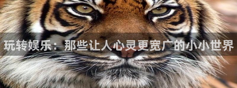 壹号娱乐,com：玩转娱乐：那些让人心灵更宽广的小小世界