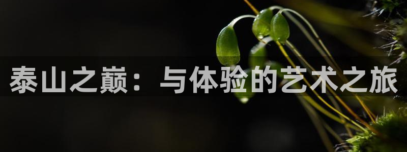 壹号app官方登录入口下载：泰山之巅：与体验的艺术之旅