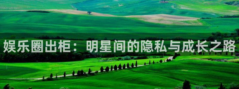 壹号大舞台娱乐传媒：娱乐圈出柜：明星间的隐私与成长之路