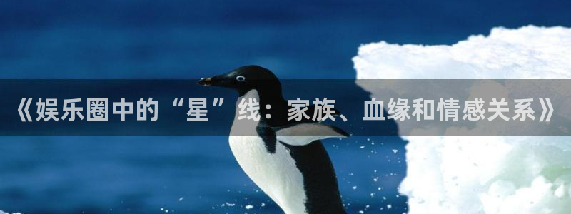 壹号大舞台：《娱乐圈中的“星”线：家族、血缘和情感关系》