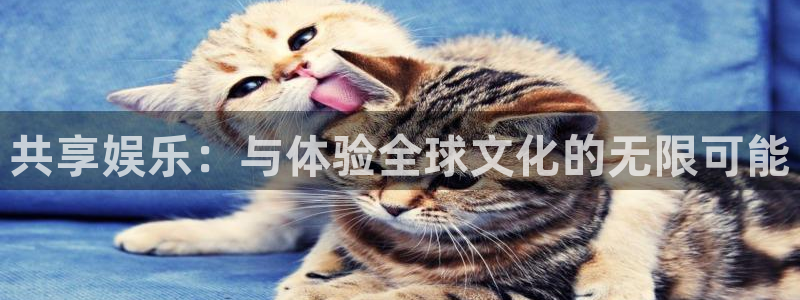 壹号电子娱乐app下载：共享娱乐：与体验全球文化的无限可能