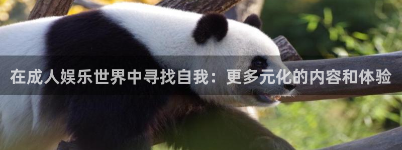壹号娱乐app官网下载：在成人娱乐世界中寻找自我：更多元化的内容和体验