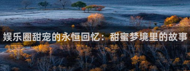 壹号娱乐退款怎么退：娱乐圈甜宠的永恒回忆：甜蜜梦境里的故事