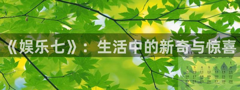 壹号电子娱乐app：《娱乐七》：生活中的新奇与惊喜