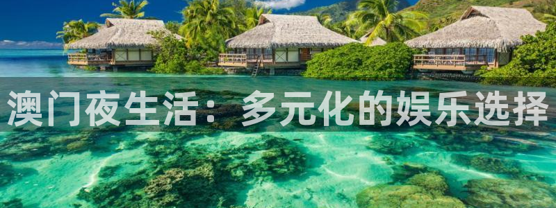 壹号娱乐：澳门夜生活：多元化的娱乐选择