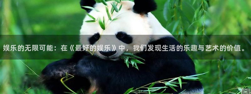 壹号娱乐app下载地址：娱乐的无限可能：在《最好的娱乐》中，我们发现生活的乐趣与艺术的价值。