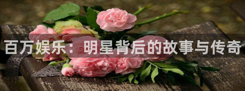 壹号娱乐app网页入口：百万娱乐：明星背后的故事与传奇